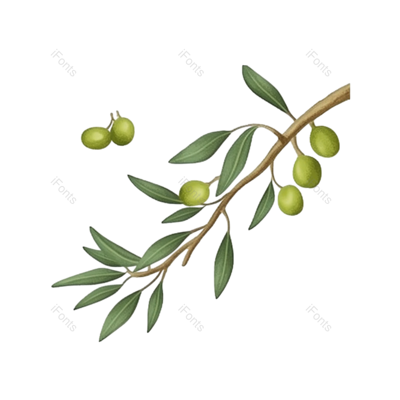 叶子图片,芒种元素,元素PNG,插画免抠素材